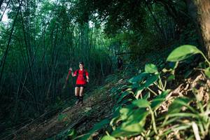 BIB: 
                            <button type="button" onclick="openModal(28123771)" class="btn btn-primary btn-sm float-right btn-popup" data-toggle="modal" data-target=".modal-high-quality">
                        <i class="fas fa-shopping-cart"></i> Add to Cart
                    </button>
                                            <button type="button" onclick="isThisMe(28123771, true)" class="btn btn-success btn-sm float-right btn-popup btn-isme hidden" data-toggle="tooltip" data-placement="bottom" title="นี่คือรูปของคุณใช่ไหม คลิกที่นี่เพื่อเอาเข้าอัลบั้ม">
                        <i class="fas fa-plus"></i> Add to album
                    </button>
                    <button type="button" onclick="isThisMe(28123771, false)" class="btn btn-warning btn-sm float-right btn-popup btn-isnotme hidden">
                        <i class="fas fa-ban"></i> Remove from album
                    </button>